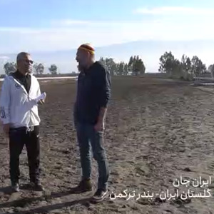 خالی