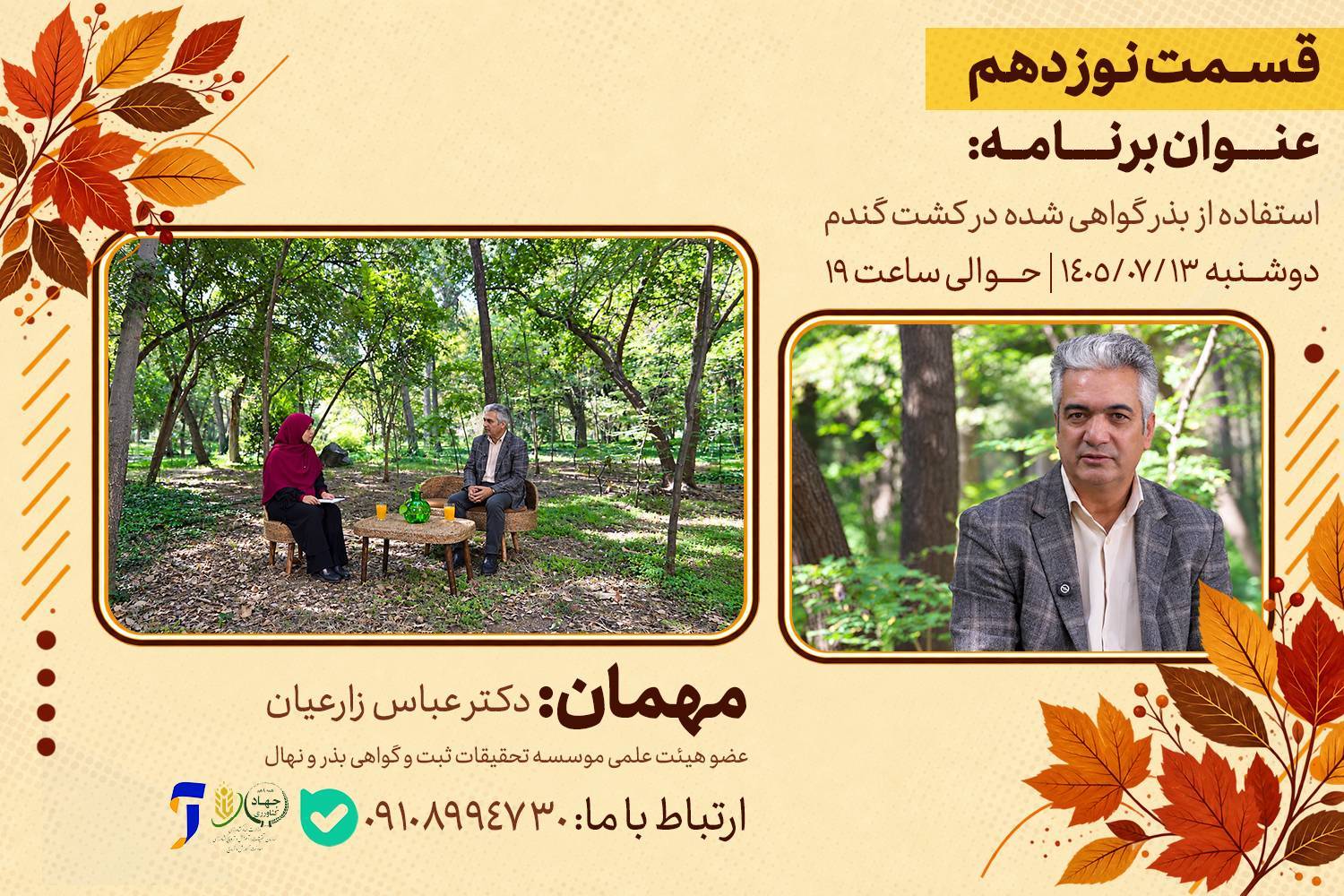 استفاده از بذر گواهی شده در کشت گندم