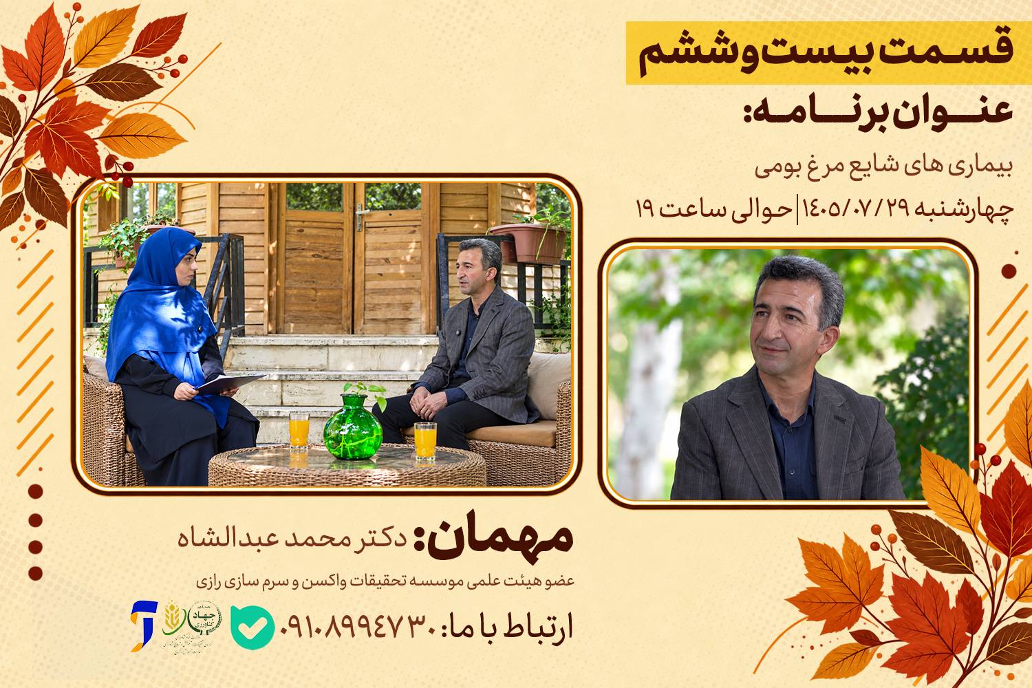 بیماری های شایع مرغ بومی در «رویش»