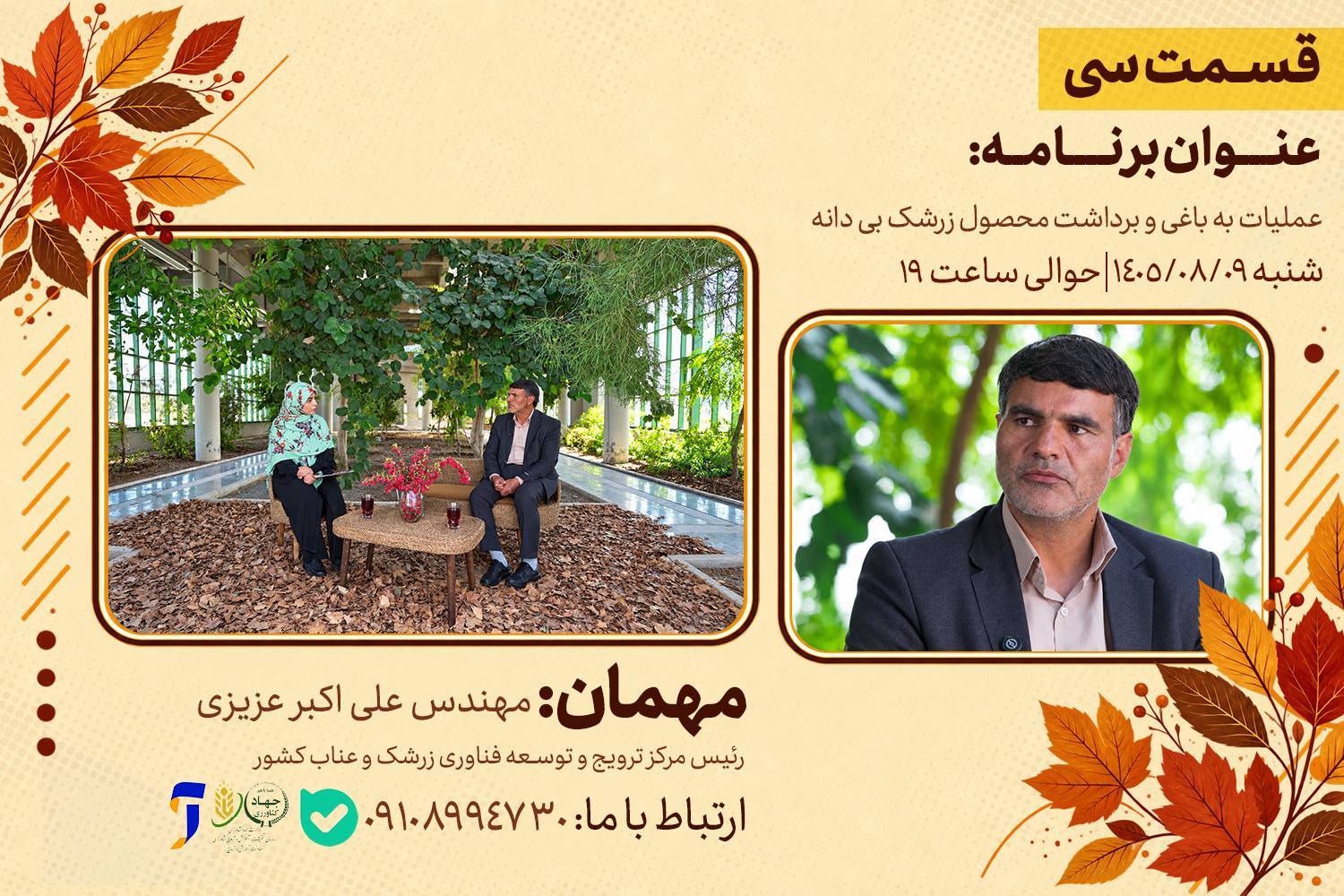 عملیات به باغی و برداشت محصول زرشک بی دانه در«رویش»