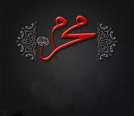 <p><strong><span style="font-size: 12pt; font-family: BYekan;">&laquo;همیشه خونه&raquo; محرمی می شود</span></strong></p>
